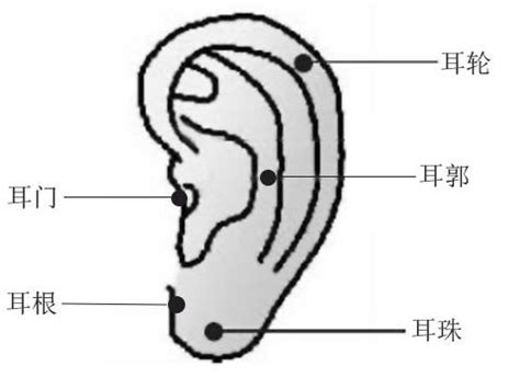 耳朵痣圖|耳朵上的痣算命图解